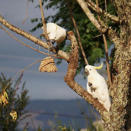 Vicarage View Cottage カンガルー・バレー エクステリア 写真